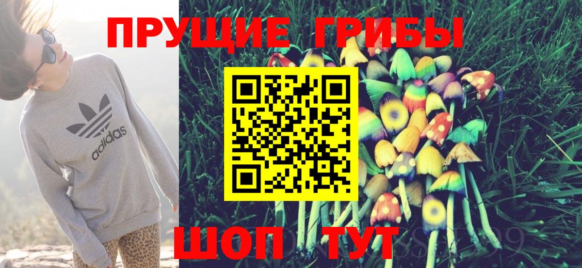 Галлюциногенные грибы MAGIC MUSHROOMS Каменск-Шахтинский